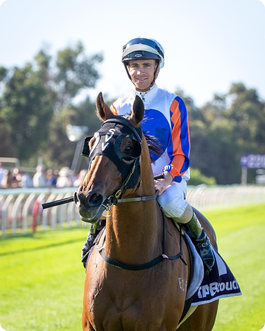 Horse racing photo 27